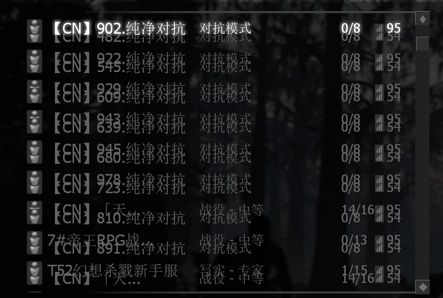 屏蔽烦人的RPG和CN等服务器
